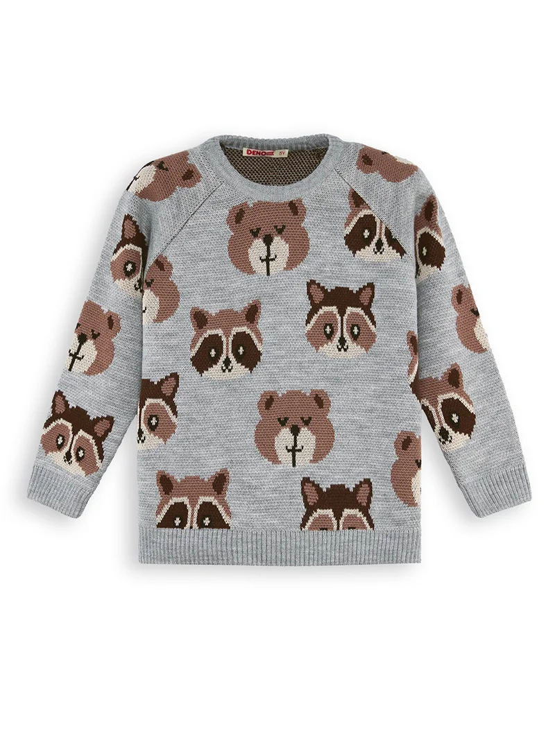 Denokids Bear&Raccoon Boy Knit Jumper